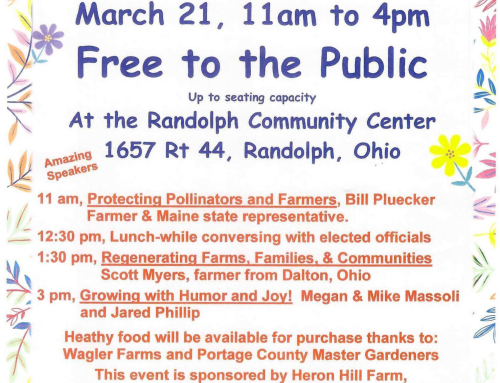 Spring Into Health Event